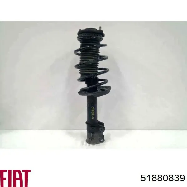 Amortiguador delantero izquierdo 51880839 Fiat/Alfa/Lancia