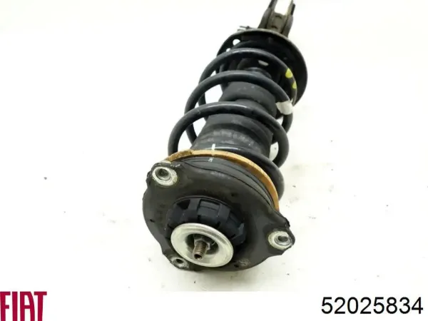 Amortiguador delantero derecho RS261014 Raiso