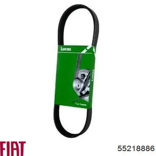 Correa de alternador 55218886 Fiat/Alfa/Lancia