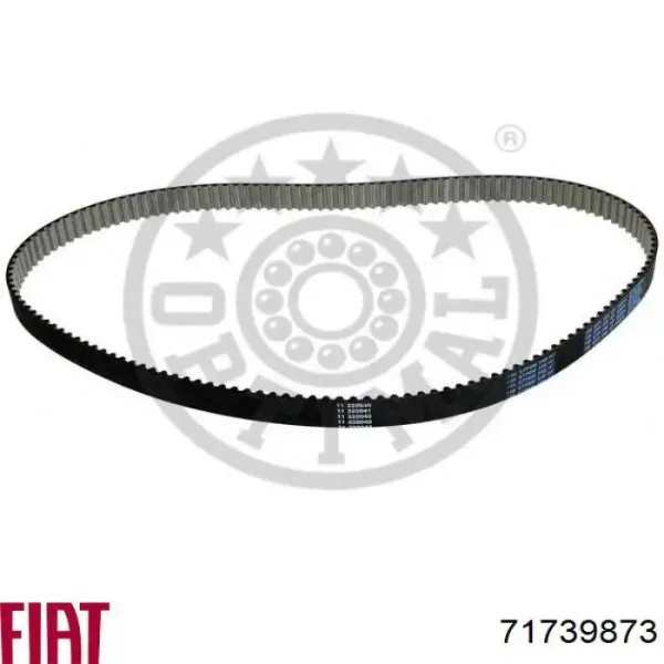 Correa distribución 71739873 Fiat/Alfa/Lancia