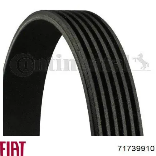 Correa trapezoidal Volkswagen LT 2DB, 2DE, 2DK