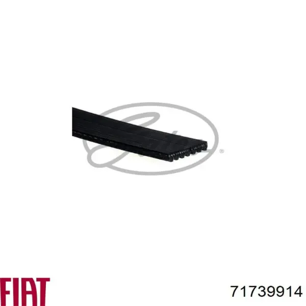 Correa de alternador 71739914 Fiat/Alfa/Lancia