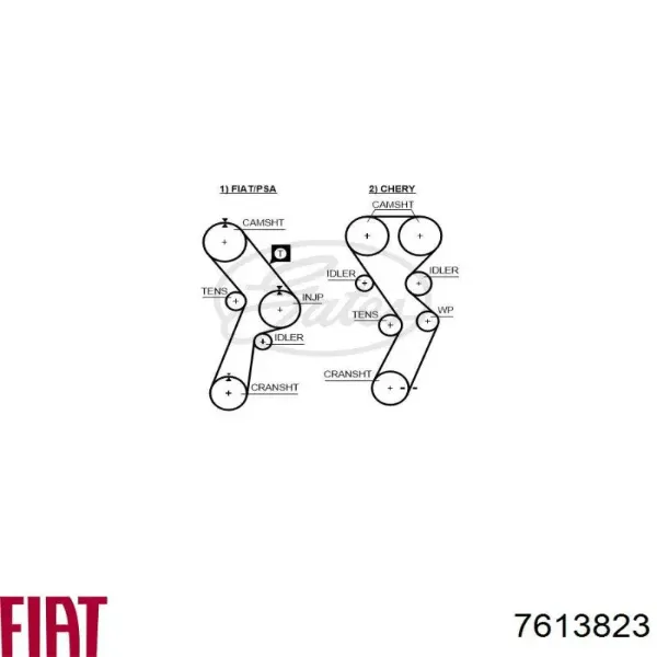 Correa distribución 7613823 Fiat/Alfa/Lancia