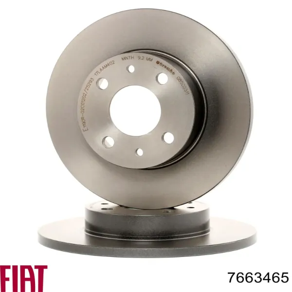 Disco de freno trasero 7663465 Fiat/Alfa/Lancia