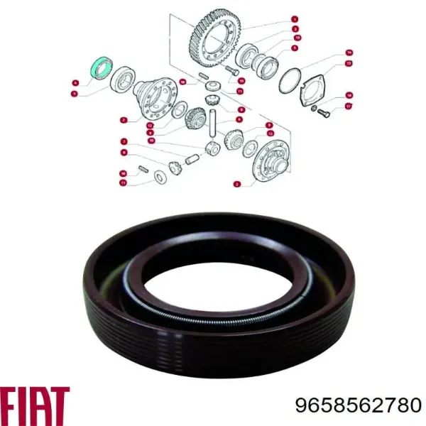 Anillo retén de semieje, eje delantero, derecho Citroen Jumper 244