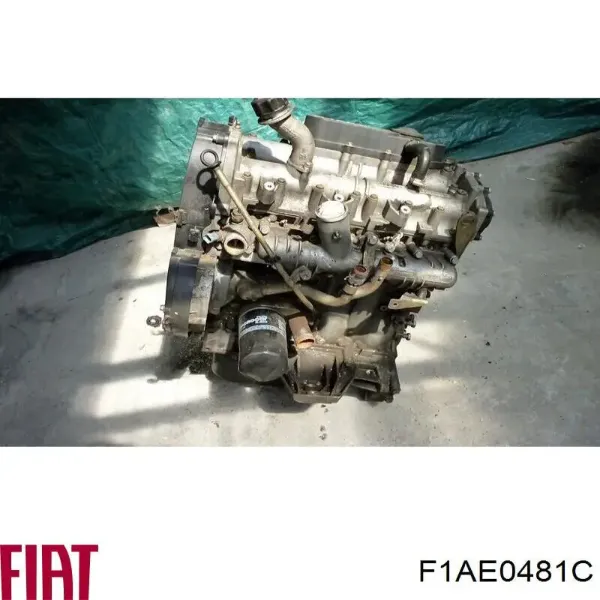 Motor completo F1AE0481C Fiat/Alfa/Lancia