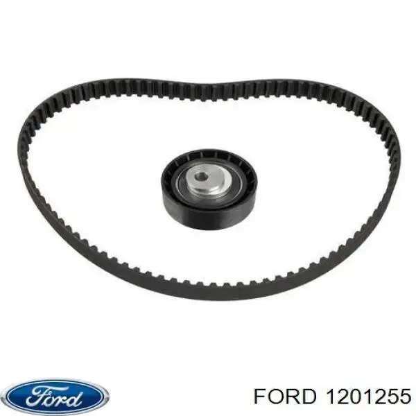 Kit correa de distribución Ford Focus 1 DFW