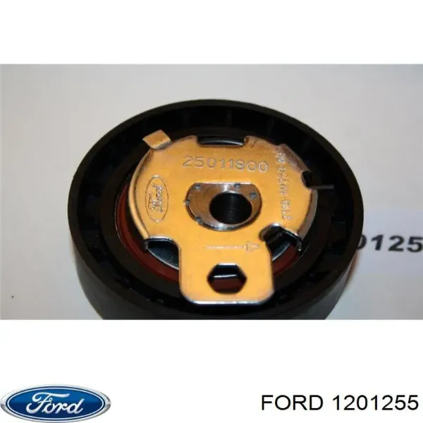 Kit correa de distribución Ford Focus 1 DFW