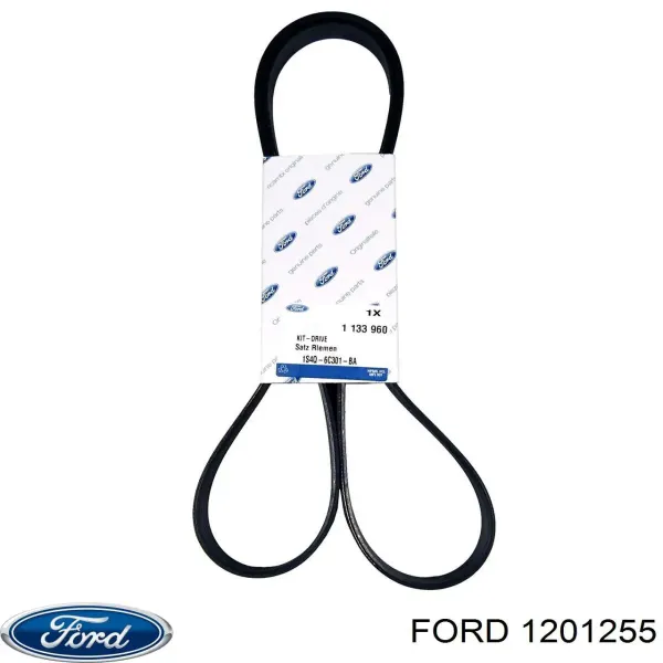 Kit correa de distribución Ford Focus 1 DFW