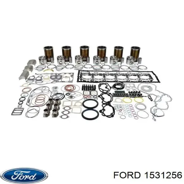 Puerta de coche, delantera, izquierda Ford Fiesta V