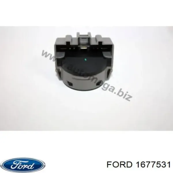 1366101 Ford