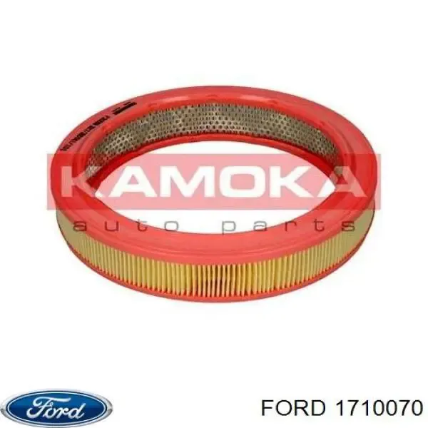 Amortiguador delantero izquierdo 1710070 Ford