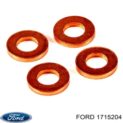 Cuerpo intermedio Inyector superior FORD 1715204