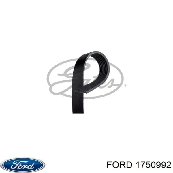 Correa de alternador 7PK3170HD Dayco
