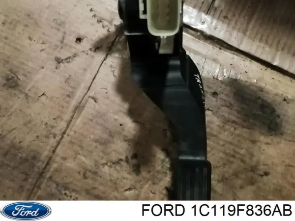  1C119F836AB Ford