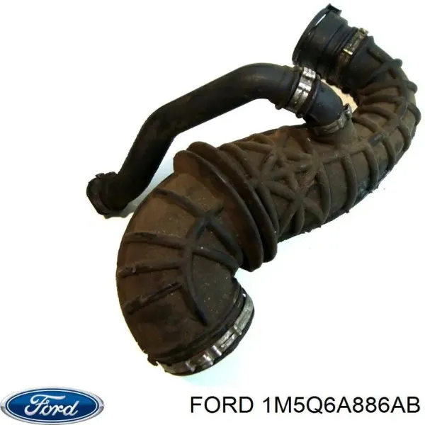 Tubo de ventilación del cárter 1M5Q6A886AB Ford