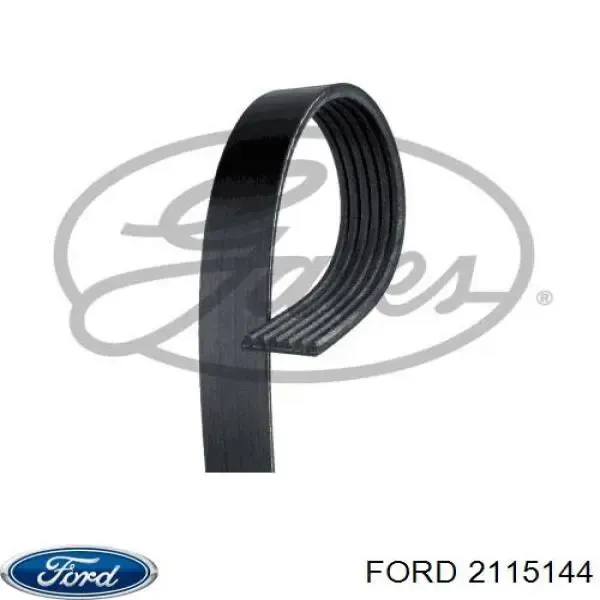 Correa de alternador 2115144 Ford