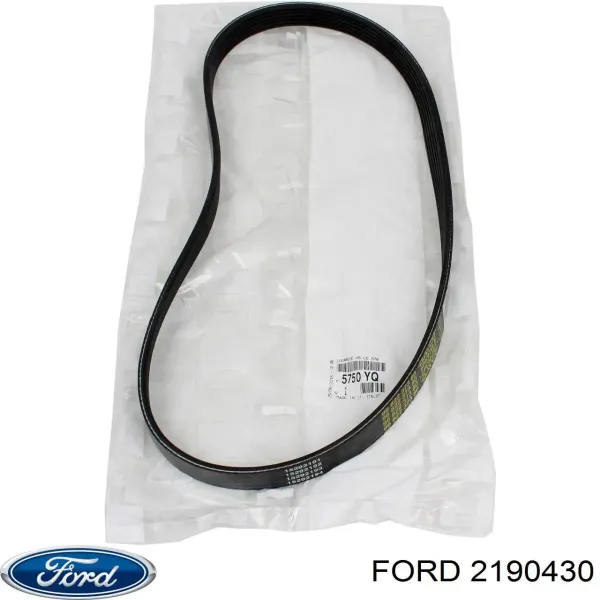 Correa de alternador 2190430 Ford