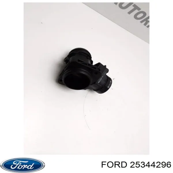 Cuerpo de mariposa 25344296 Ford