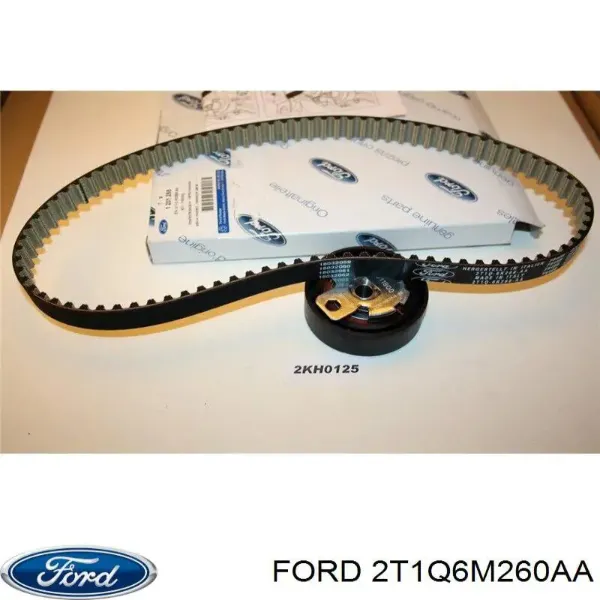 Kit correa de distribución Ford Focus 1 DFW