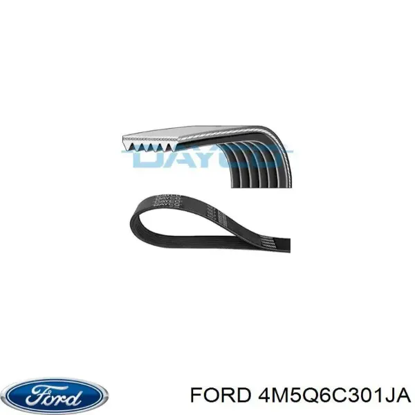 Correa de alternador 4M5Q6C301JA Ford