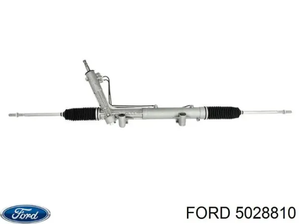 SS1134 DP Group