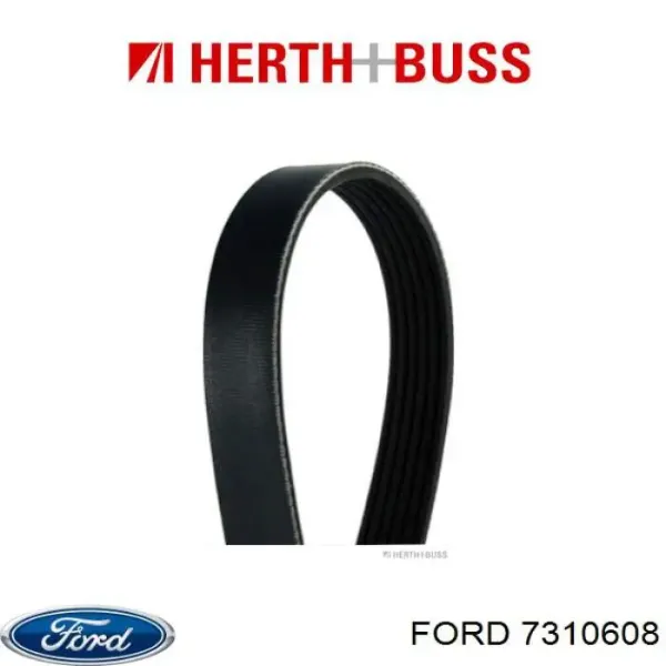 Correa trapezoidal Volkswagen LT 2DB, 2DE, 2DK