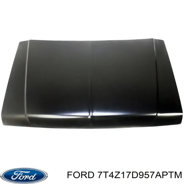 Paragolpes Ford Edge I