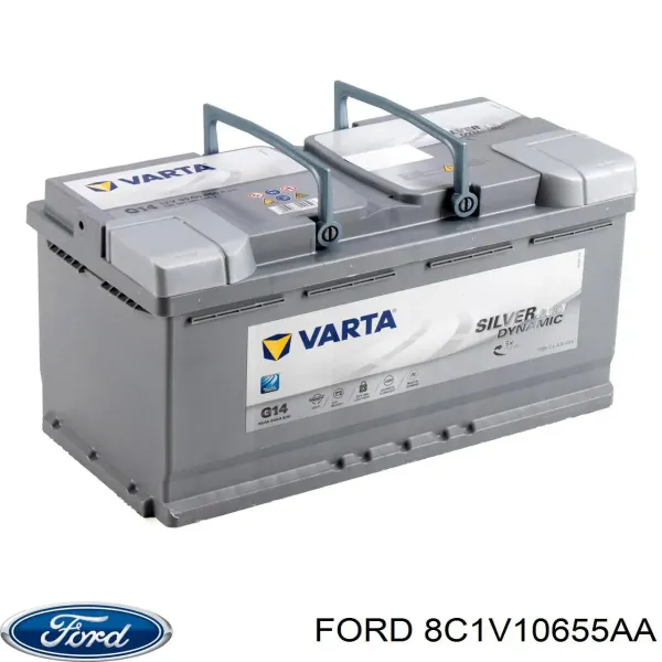 V99170020 Vemo