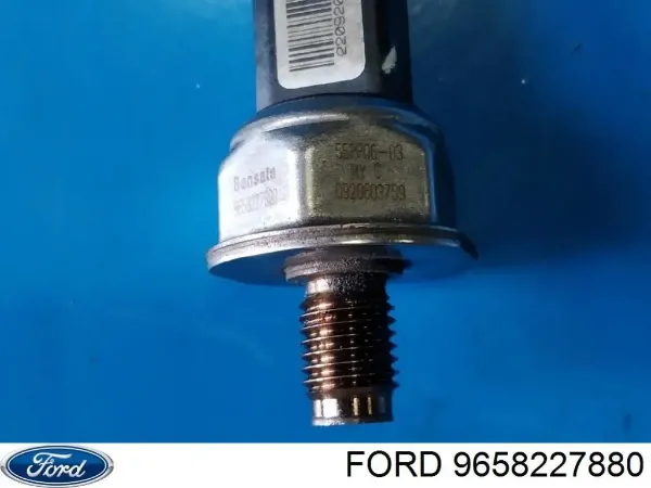 00001920GW Peugeot/Citroen