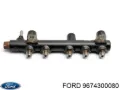 Rampa de combustible Citroen Jumper 250
