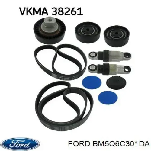 Correa de alternador BM5Q6C301DA Ford