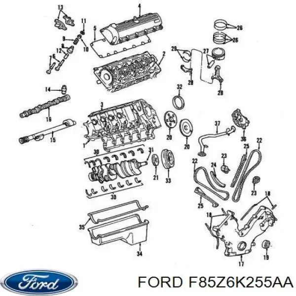 Guía del tensor de la cadena de distribución F85Z6K255AA Ford