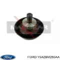 Polea correa distribución Ford Escape 