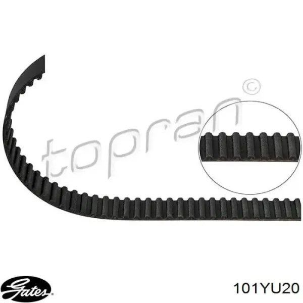 Correa distribución 101YU20 Gates
