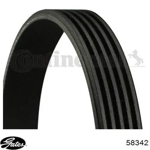Correa de alternador 58342 Gates