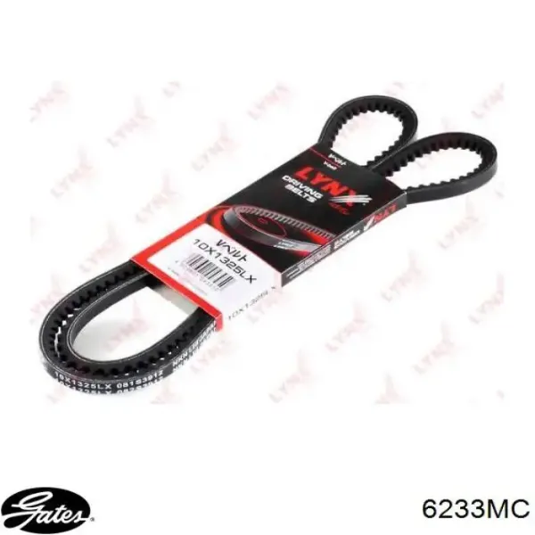 Correa de alternador 10A1325C Dayco