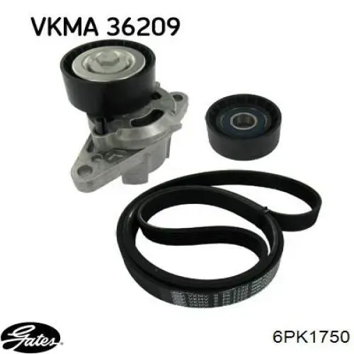 Correa trapezoidal Volkswagen LT 2DB, 2DE, 2DK