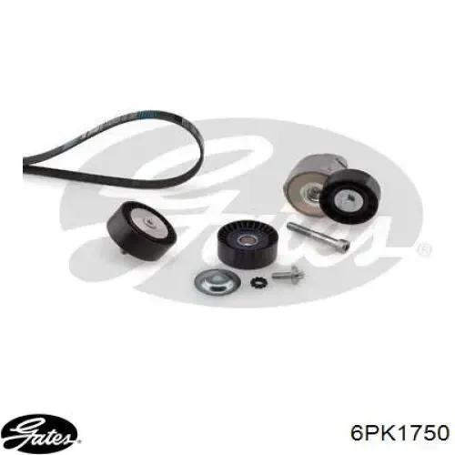 Correa trapezoidal Volkswagen LT 2DB, 2DE, 2DK