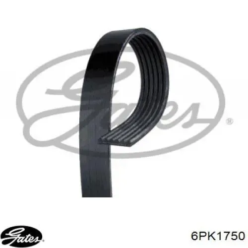 Correa trapezoidal Volkswagen LT 2DB, 2DE, 2DK