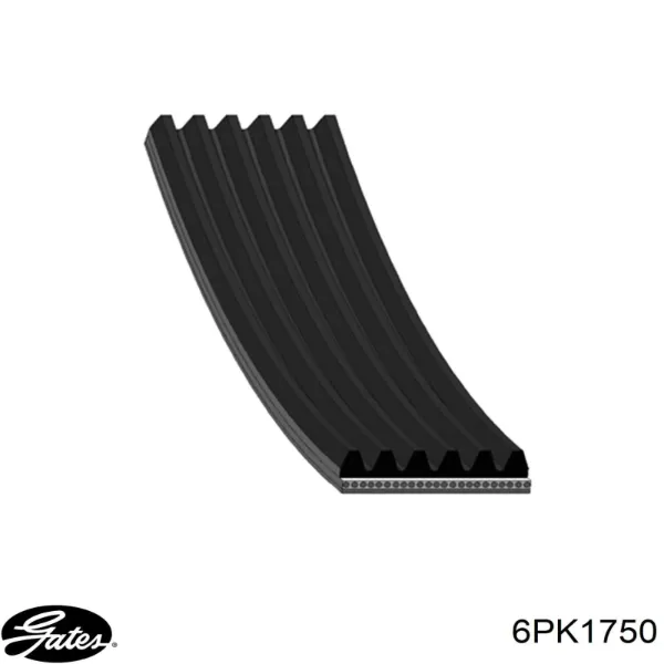 Correa trapezoidal Volkswagen LT 2DB, 2DE, 2DK