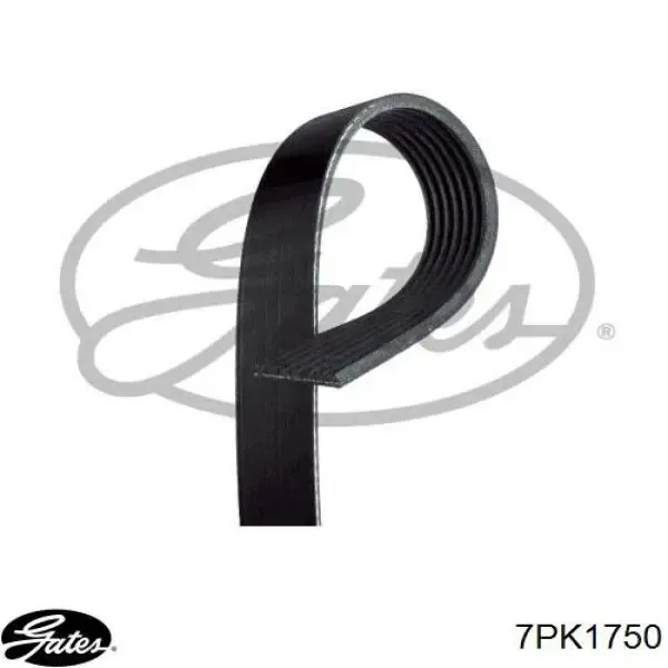 38920RBBE03 Honda