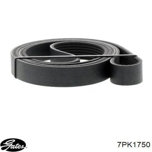 38920RBBE03 Honda