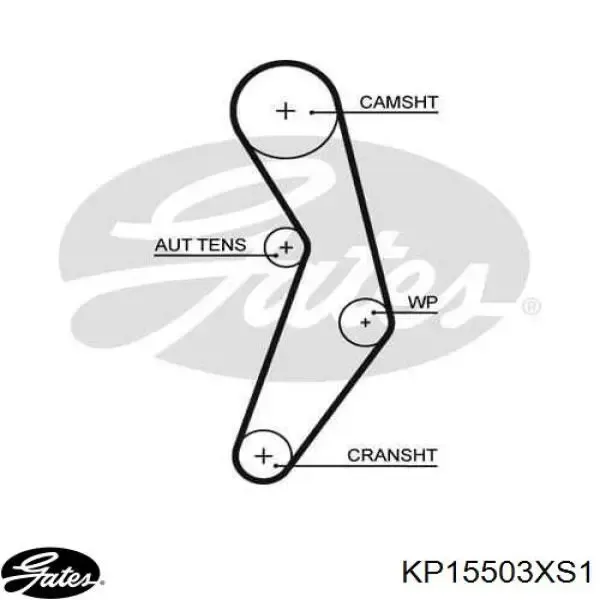 Kit de distribución KD141 Dolz
