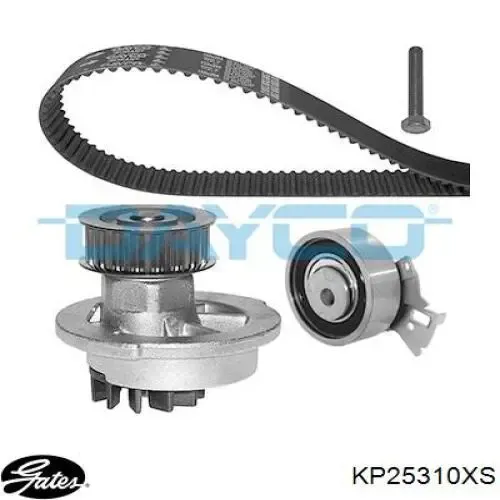 Kit de distribución 530000432 LUK