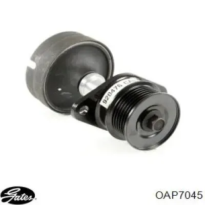 Polea alternador 532061210 LUK