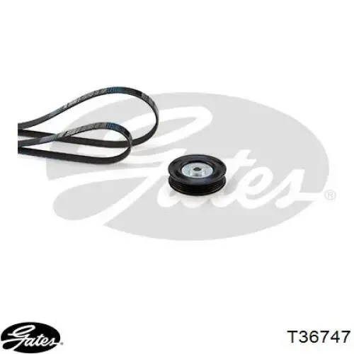 Polea tensora correa poli V 1753082J00 Suzuki