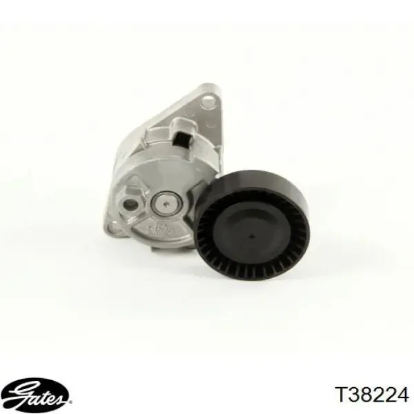 Tensor de correa poli V 534005010 LUK