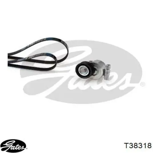 Tensor de correa poli V LF5015980B Mazda