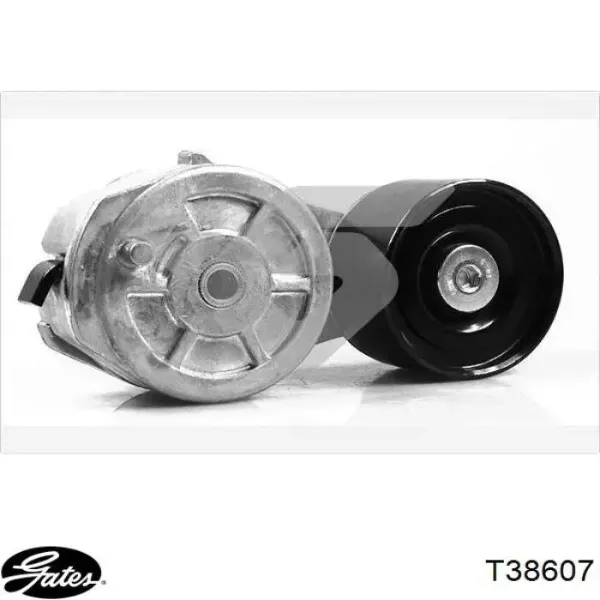 Tensor de correa poli V 7421819687 Renault (RVI)